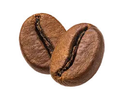 kawa