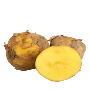 Ziemniaki Christel 5kg