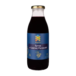czarna porzeczka syrop czarnej porzeczki