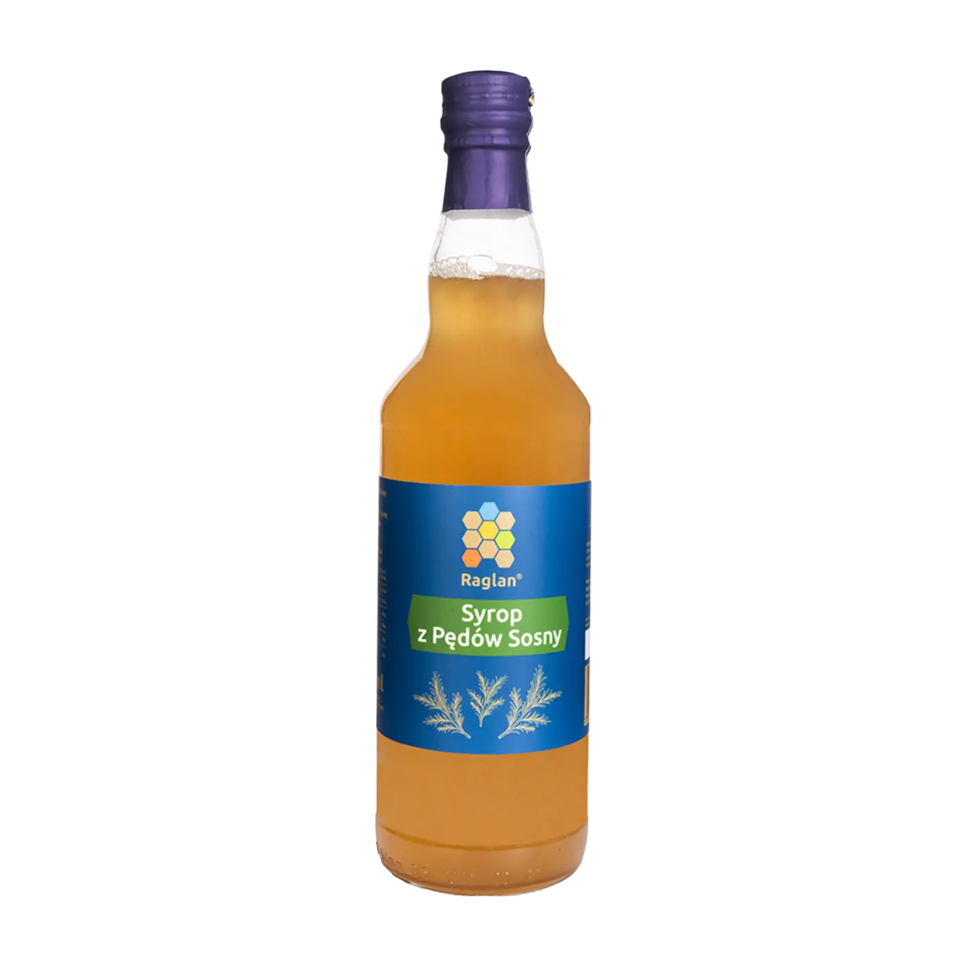 syrop z pędów sosny sosna