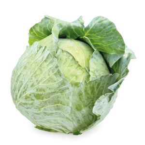 kapusta biala agressor
